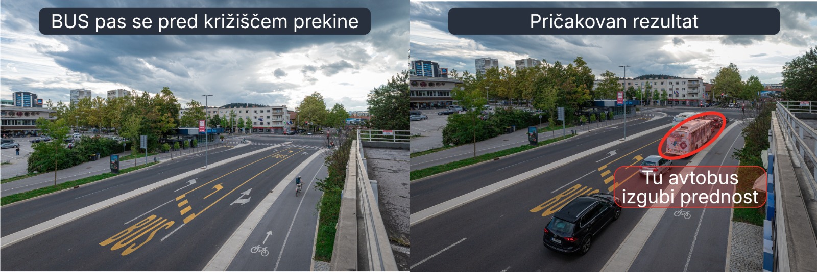 Rumeni pas na ljubljanski cesti